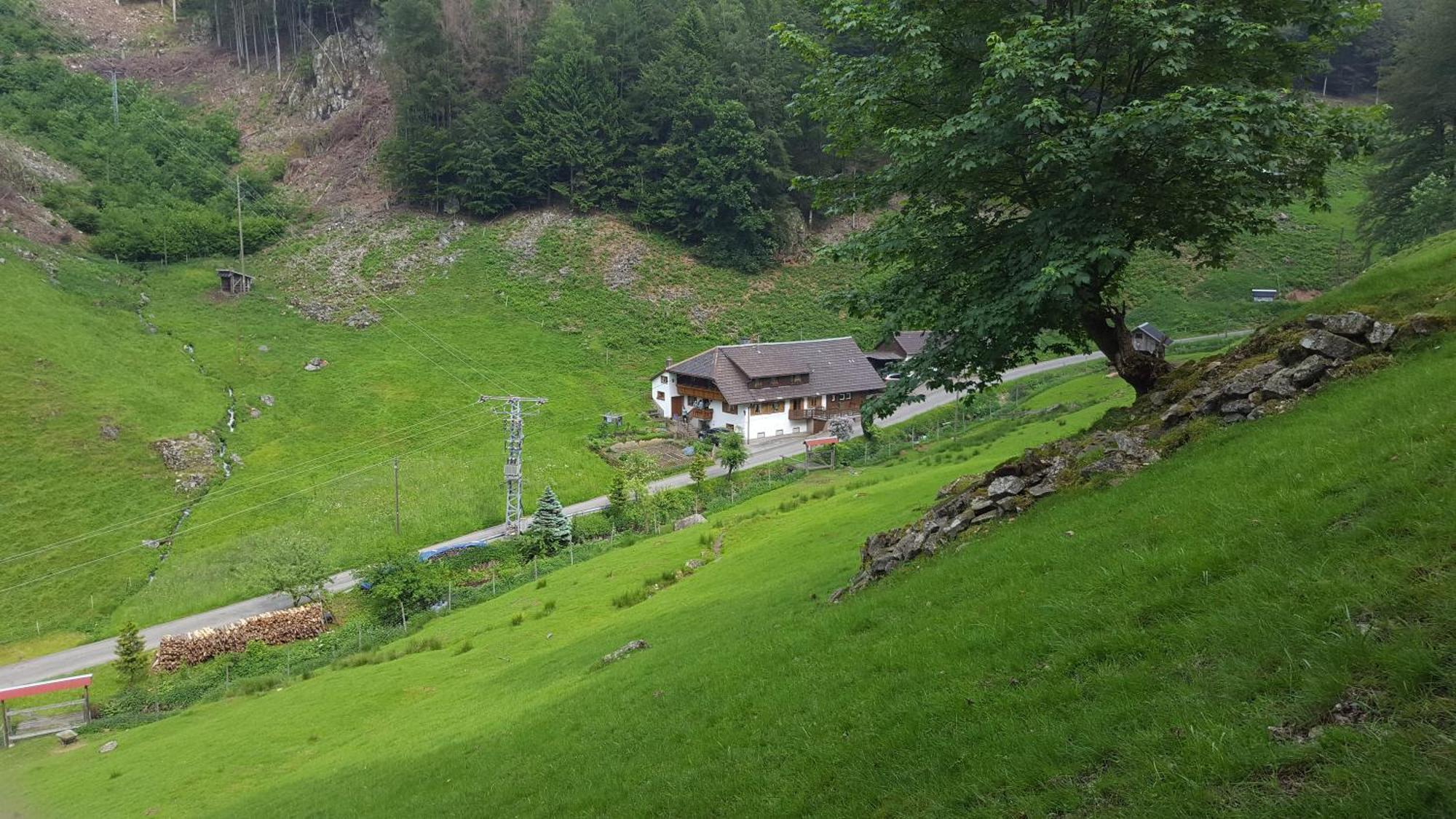 Bauernhaus Im Münstertal מראה חיצוני תמונה