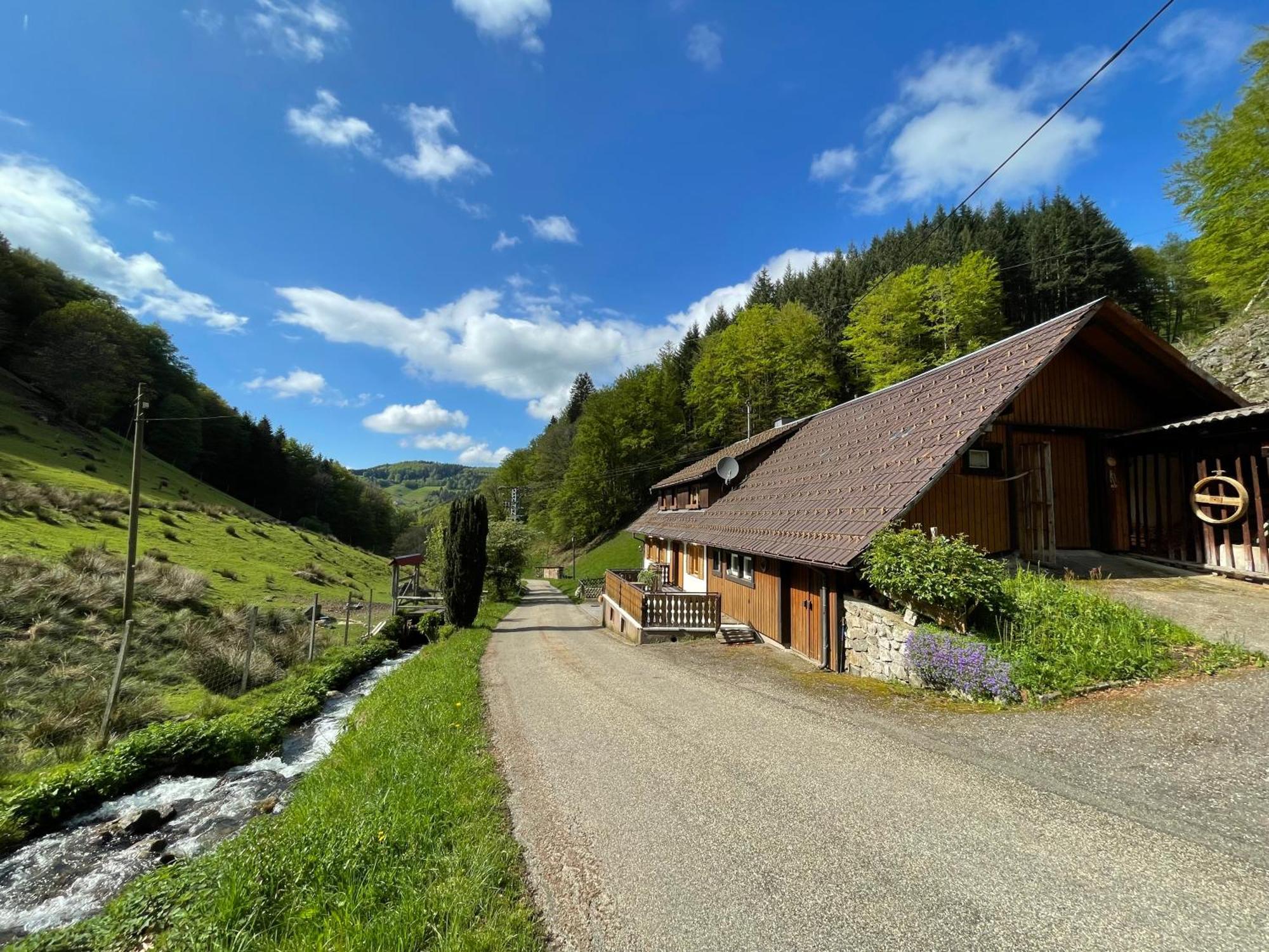 Bauernhaus Im Münstertal מראה חיצוני תמונה