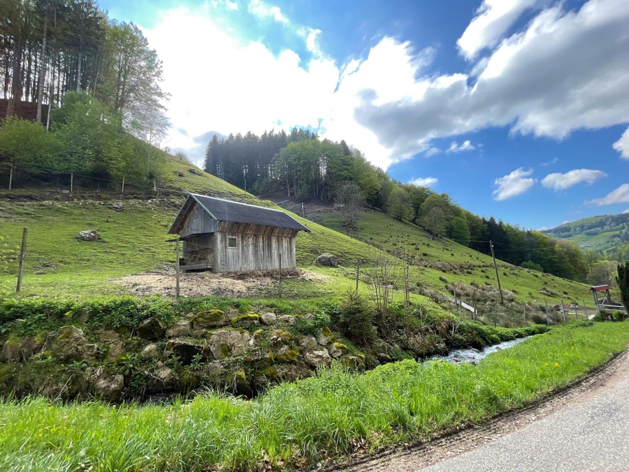 Bauernhaus Im Münstertal מראה חיצוני תמונה
