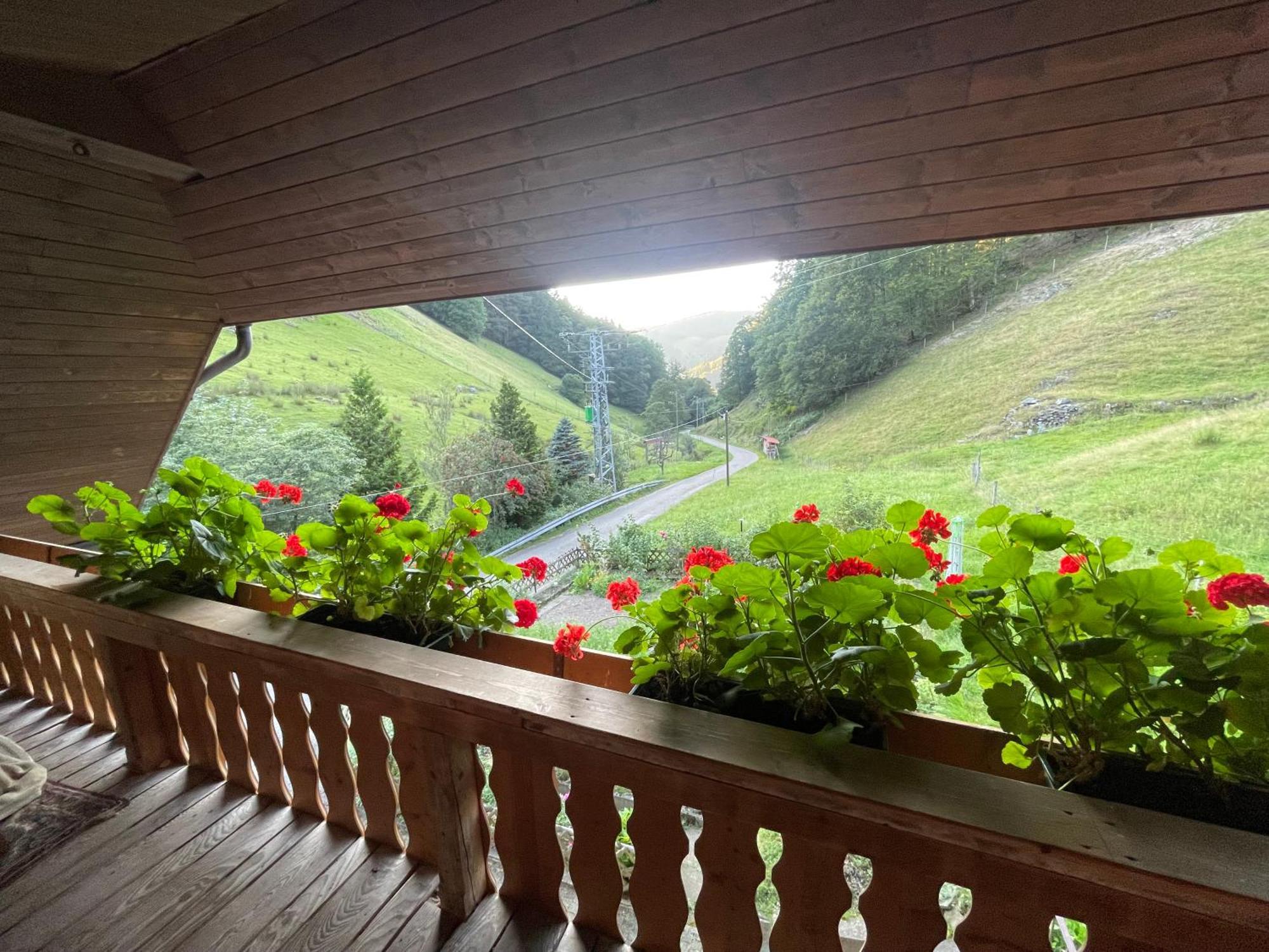 Bauernhaus Im Münstertal מראה חיצוני תמונה