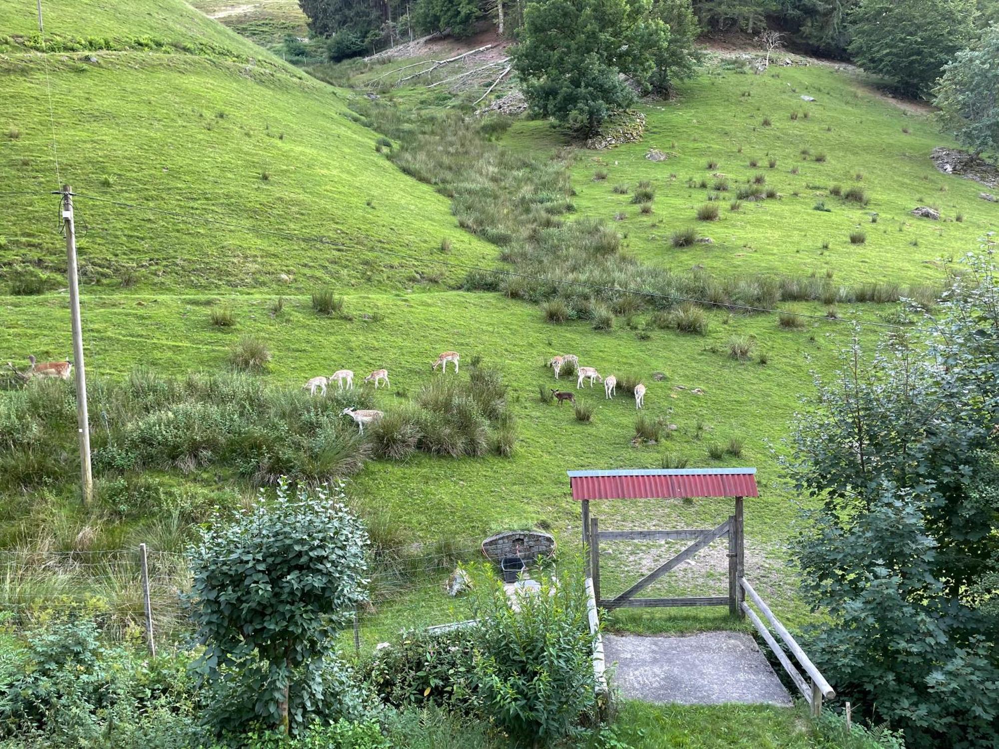 Bauernhaus Im Münstertal מראה חיצוני תמונה