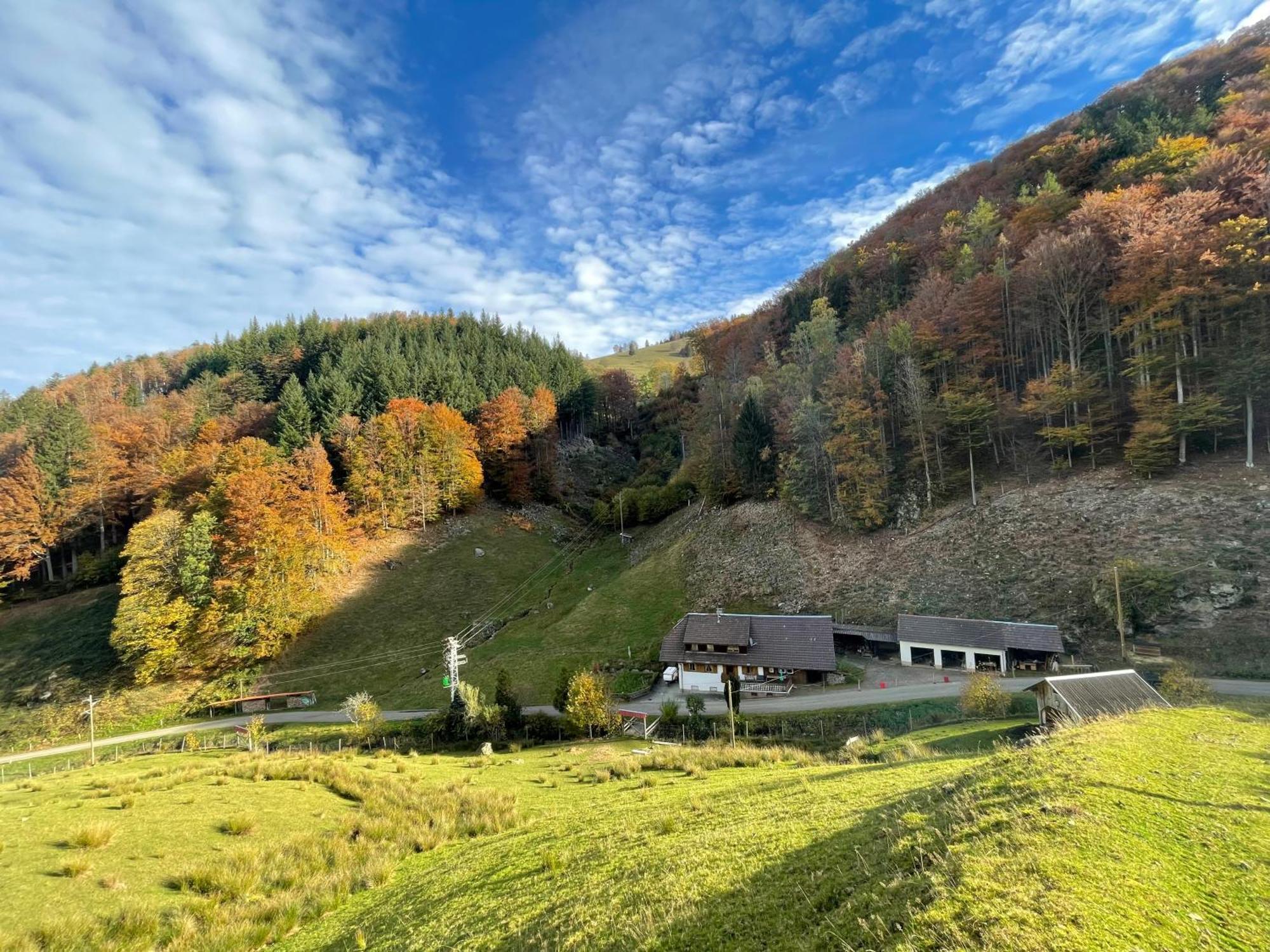 Bauernhaus Im Münstertal מראה חיצוני תמונה